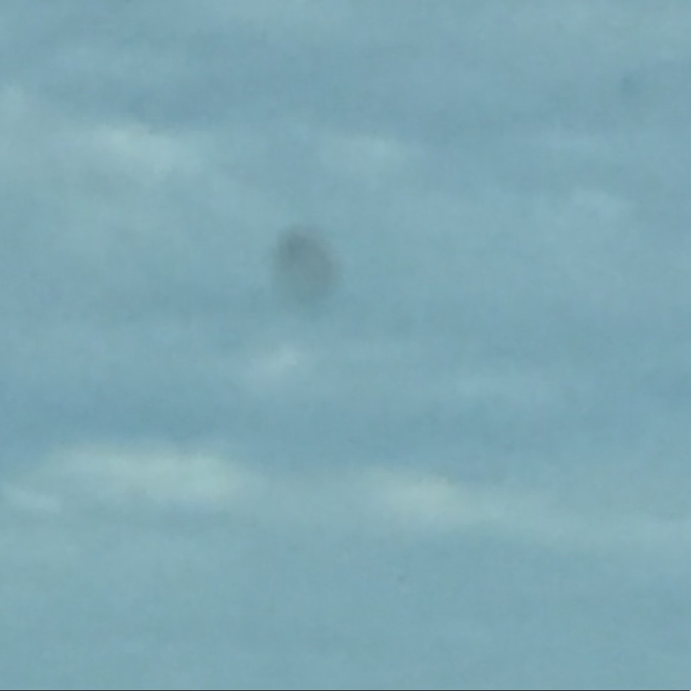 Meet your Posher, Carlos